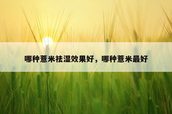 哪种薏米祛湿效果好,哪种薏米最好
