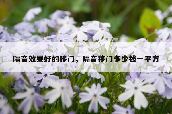 隔音效果好的移门,隔音移门多少钱一平方