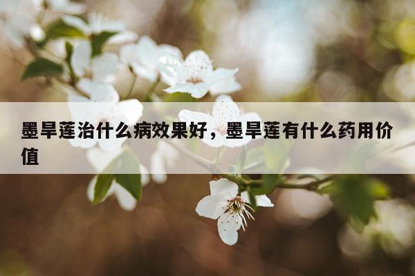 墨旱莲治什么病效果好,墨旱莲有什么药用价值