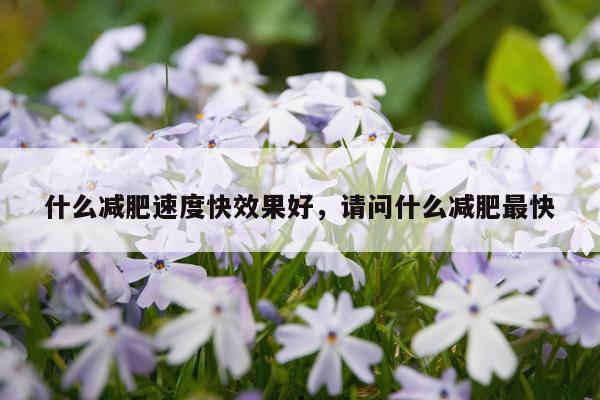 什么减肥速度快效果好,请问什么减肥最快