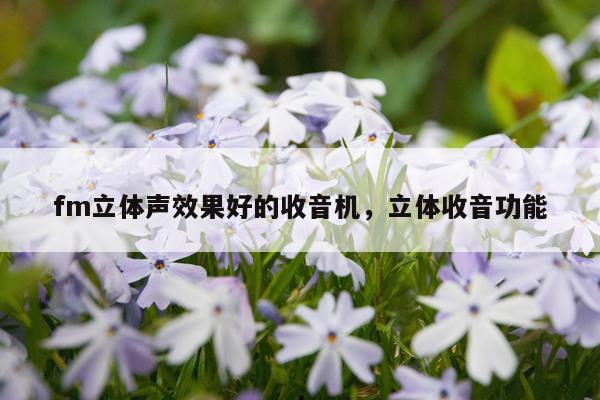 fm立体声效果好的收音机,立体收音功能