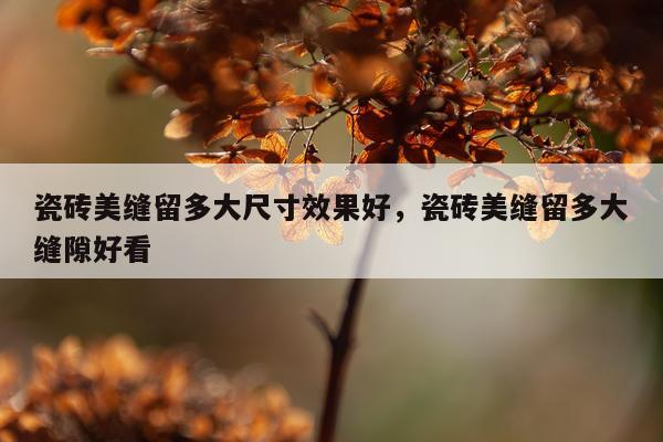 瓷砖美缝留多大尺寸效果好,瓷砖美缝留多大缝隙好看