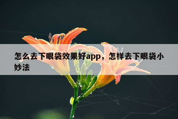 怎么去下眼袋效果好app,怎样去下眼袋小妙法