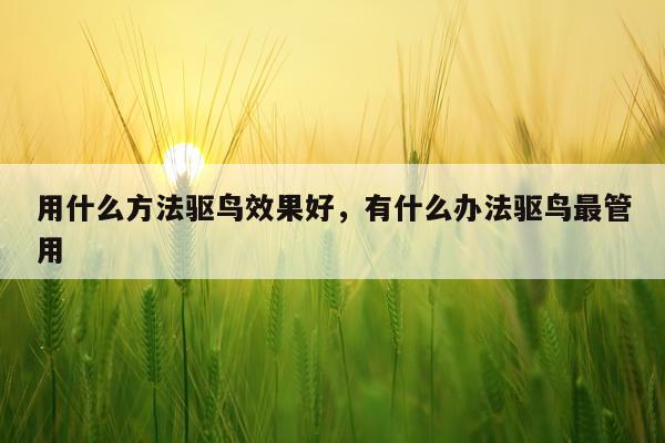 用什么方法驱鸟效果好,有什么办法驱鸟最管用