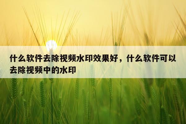 什么软件去除视频水印效果好,什么软件可以去除视频中的水印