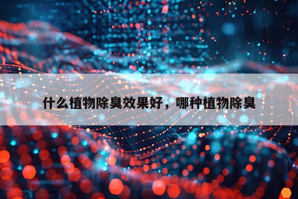 什么植物除臭效果好,哪种植物除臭