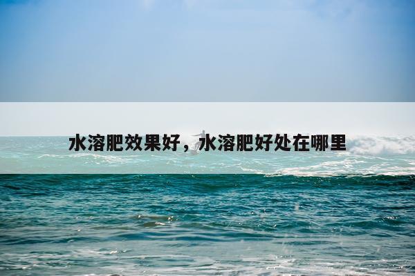 水溶肥效果好,水溶肥好处在哪里
