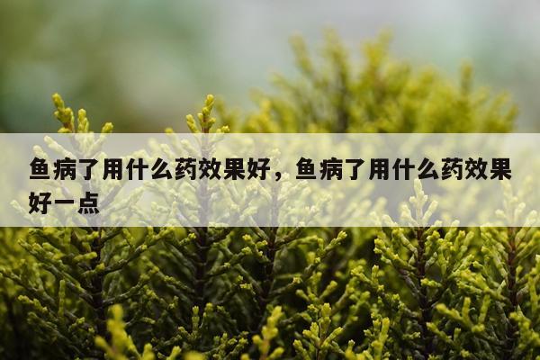 鱼病了用什么药效果好,鱼病了用什么药效果好一点