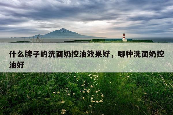 什么牌子的洗面奶控油效果好,哪种洗面奶控油好
