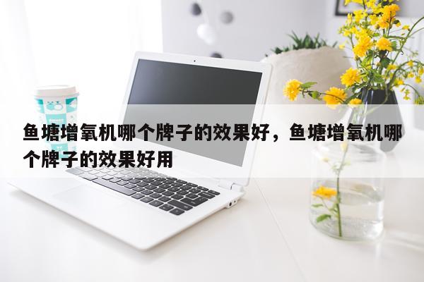 鱼塘增氧机哪个牌子的效果好,鱼塘增氧机哪个牌子的效果好用