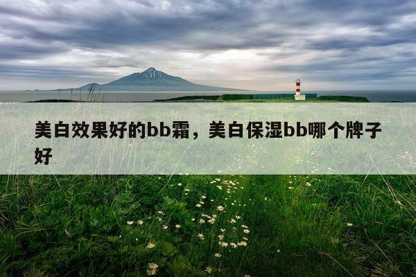 美白效果好的bb霜,美白保湿bb哪个牌子好