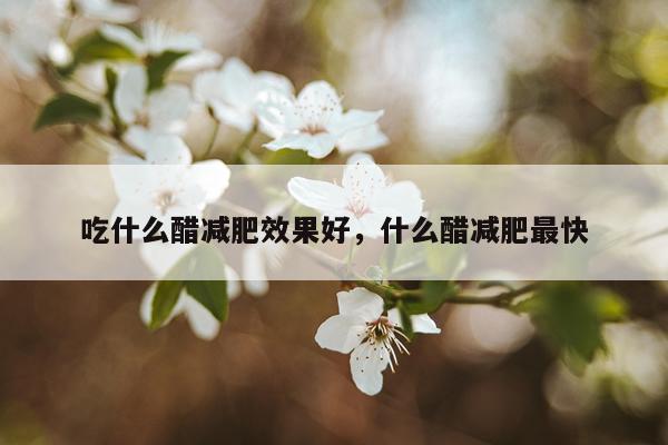 吃什么醋减肥效果好,什么醋减肥最快