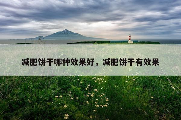 减肥饼干哪种效果好,减肥饼干有效果