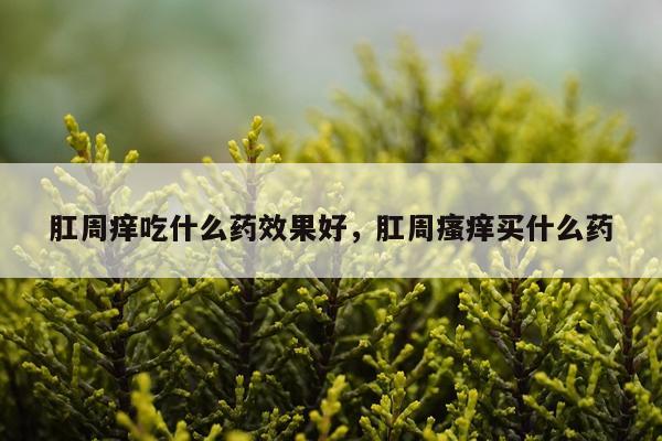 肛周痒吃什么药效果好,肛周瘙痒买什么药