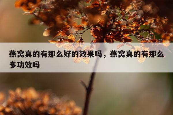 燕窝真的有那么好的效果吗,燕窝真的有那么多功效吗