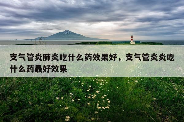 支气管炎肺炎吃什么药效果好,支气管炎炎吃什么药最好效果
