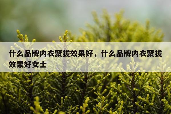 什么品牌内衣聚拢效果好,什么品牌内衣聚拢效果好女士