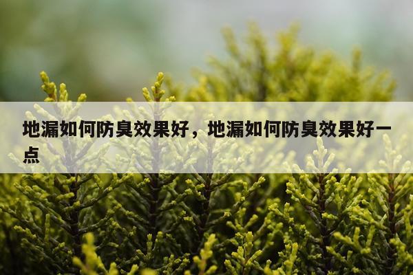 地漏如何防臭效果好,地漏如何防臭效果好一点