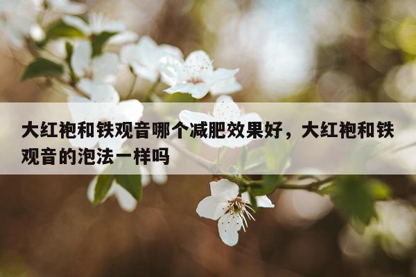 大红袍和铁观音哪个减肥效果好,大红袍和铁观音的泡法一样吗