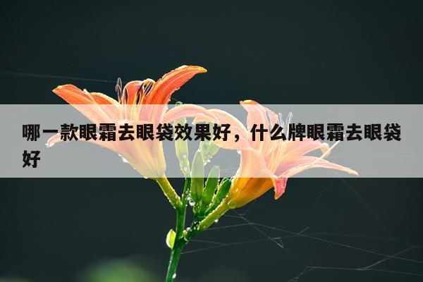 哪一款眼霜去眼袋效果好,什么牌眼霜去眼袋好
