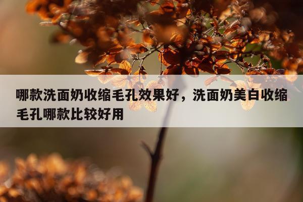 哪款洗面奶收缩毛孔效果好,洗面奶美白收缩毛孔哪款比较好用