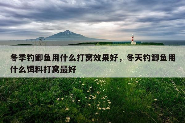 冬季钓鲫鱼用什么打窝效果好,冬天钓鲫鱼用什么饵料打窝最好