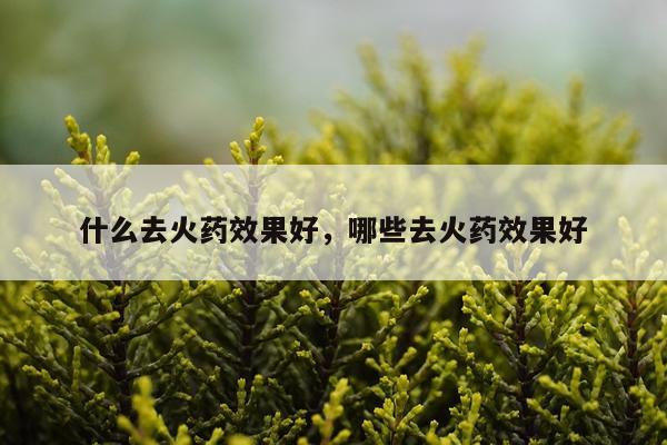 什么去火药效果好,哪些去火药效果好