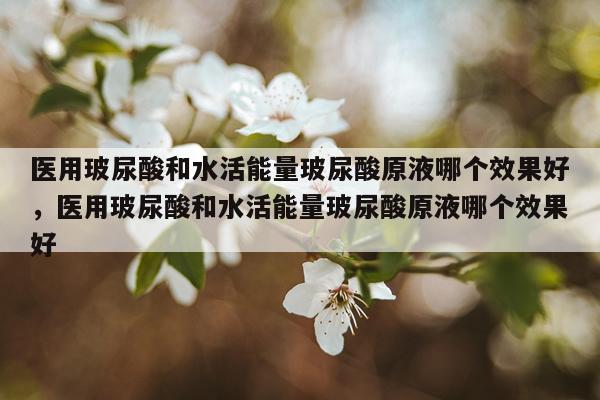 医用玻尿酸和水活能量玻尿酸原液哪个效果好,医用玻尿酸和水活能量玻尿酸原液哪个效果好