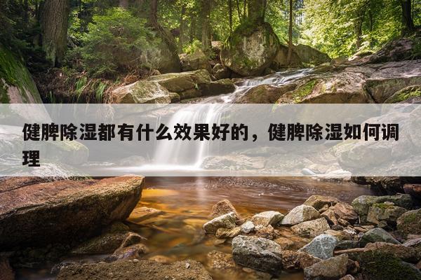 健脾除湿都有什么效果好的,健脾除湿如何调理