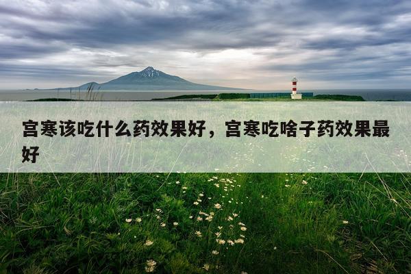 宫寒该吃什么药效果好,宫寒吃啥子药效果最好