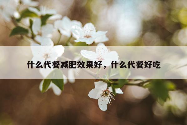 什么代餐减肥效果好,什么代餐好吃