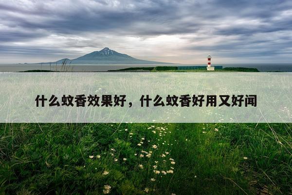 什么蚊香效果好,什么蚊香好用又好闻