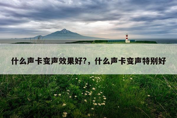 什么声卡变声效果好?,什么声卡变声特别好