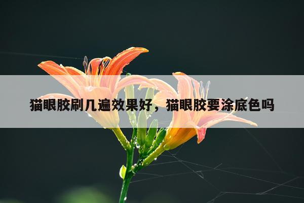 猫眼胶刷几遍效果好,猫眼胶要涂底色吗