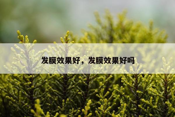 发膜效果好,发膜效果好吗