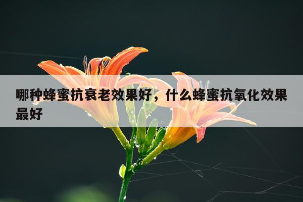 哪种蜂蜜抗衰老效果好,什么蜂蜜抗氧化效果最好