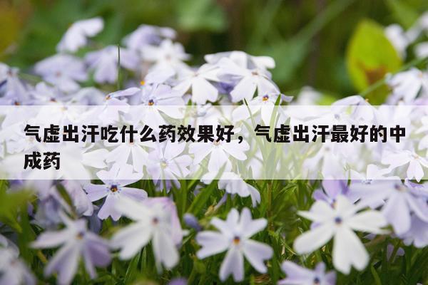 气虚出汗吃什么药效果好,气虚出汗最好的中成药