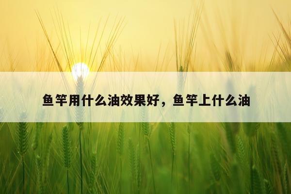 鱼竿用什么油效果好,鱼竿上什么油