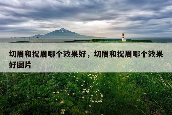 切眉和提眉哪个效果好,切眉和提眉哪个效果好图片