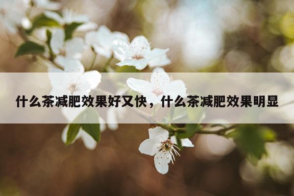 什么茶减肥效果好又快,什么茶减肥效果明显