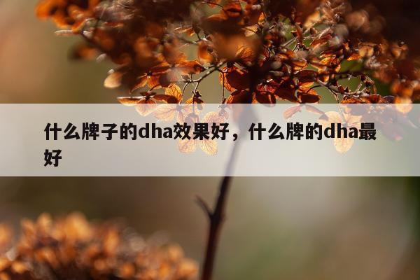 什么牌子的dha效果好,什么牌的dha最好