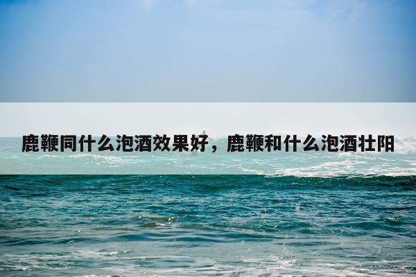 鹿鞭同什么泡酒效果好,鹿鞭和什么泡酒壮阳