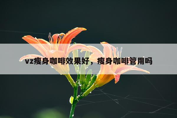 vz瘦身咖啡效果好,瘦身咖啡管用吗