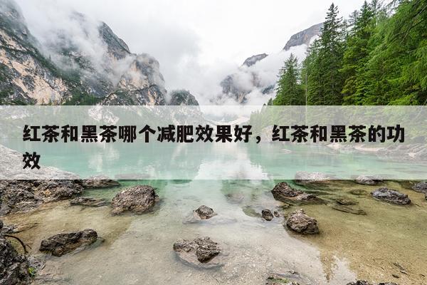 红茶和黑茶哪个减肥效果好,红茶和黑茶的功效