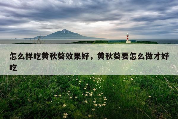 怎么样吃黄秋葵效果好,黄秋葵要怎么做才好吃