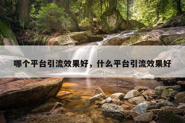 哪个平台引流效果好,什么平台引流效果好
