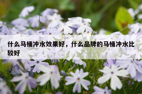 什么马桶冲水效果好,什么品牌的马桶冲水比较好