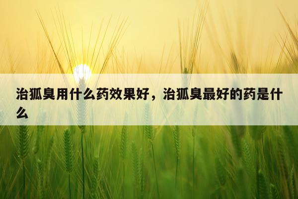 治狐臭用什么药效果好,治狐臭最好的药是什么