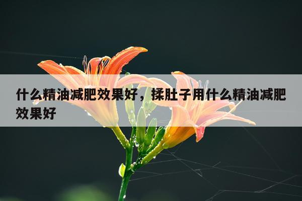 什么精油减肥效果好,揉肚子用什么精油减肥效果好