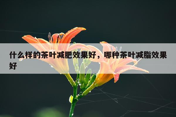 什么样的茶叶减肥效果好,哪种茶叶减脂效果好